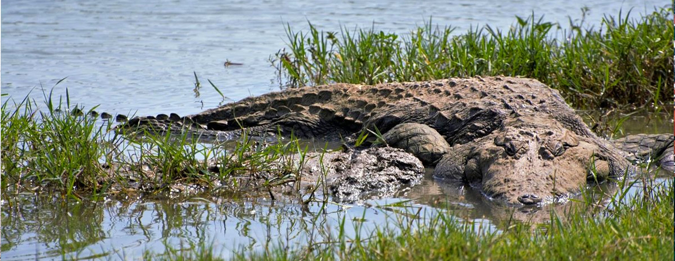 Bundala Tour Package In Sri Lanka | Rock Lanka Tours