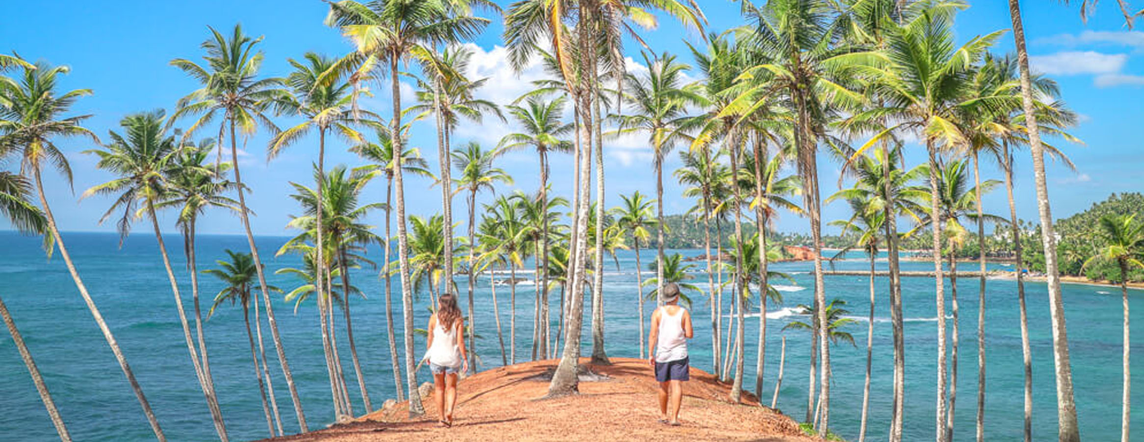 Mirissa Tour in Sri Lanka | Rock Lanka Tours