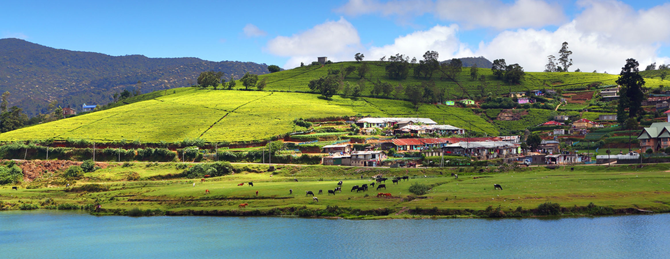 Nuwara Eliya Tour in Sri Lanka | Rock Lanka Tours