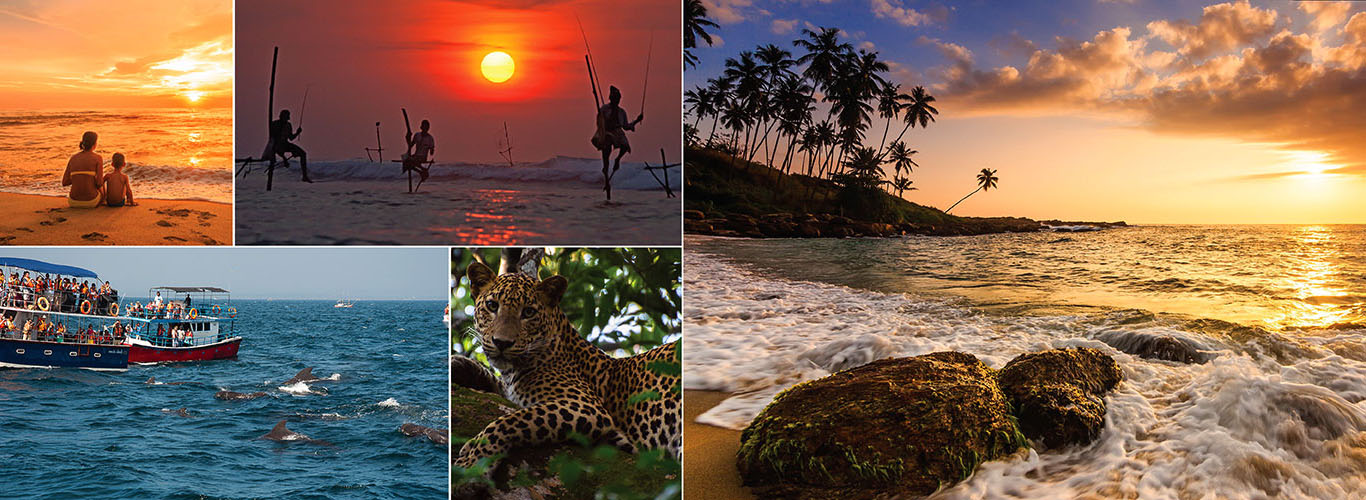 One Week Beach Stay tour in Sri Lanka - itinerary | Rock Lanka Tours