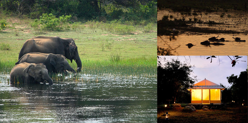 One Week Beach Stay tour in Sri Lanka - itinerary | Rock Lanka Tours