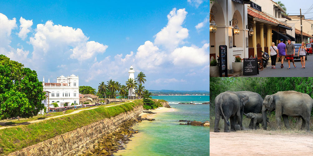 One week tour in Sri Lanka - itinerary | Rock Lanka Tours