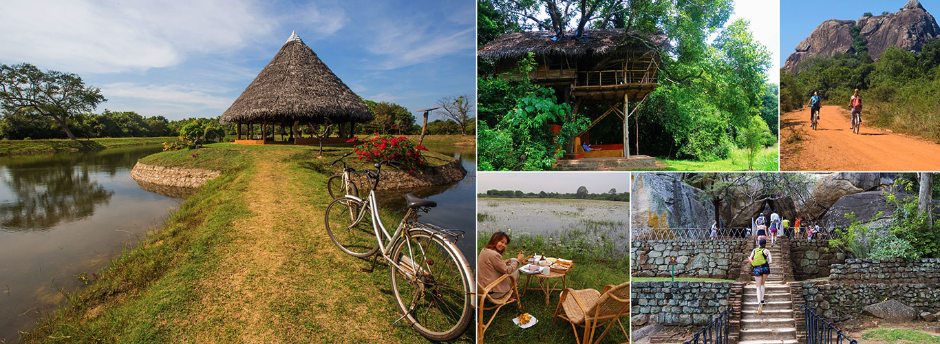 One week tour in Sri Lanka - itinerary | Rock Lanka Tours