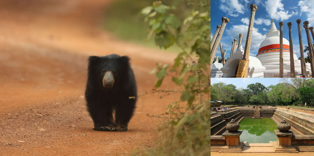 One week tour in Sri Lanka - itinerary | Rock Lanka Tours
