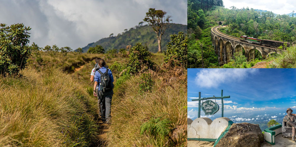 Three weeks tour in Sri Lanka - itinerary | Rock Lanka Tours