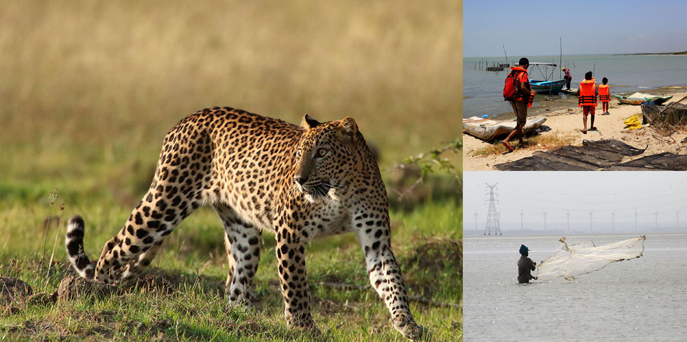 Three weeks tour in Sri Lanka - itinerary | Rock Lanka Tours