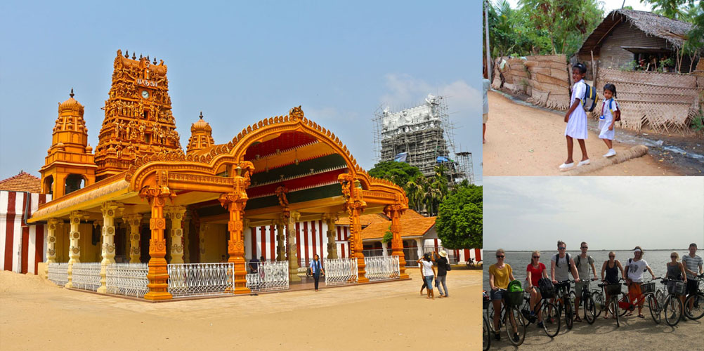 Three weeks tour in Sri Lanka - itinerary | Rock Lanka Tours