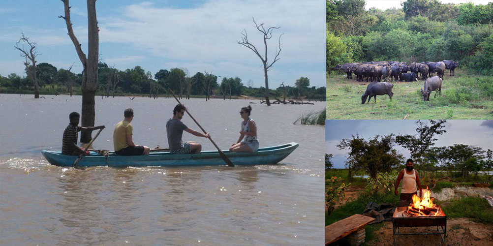 Three weeks tour in Sri Lanka - itinerary | Rock Lanka Tours