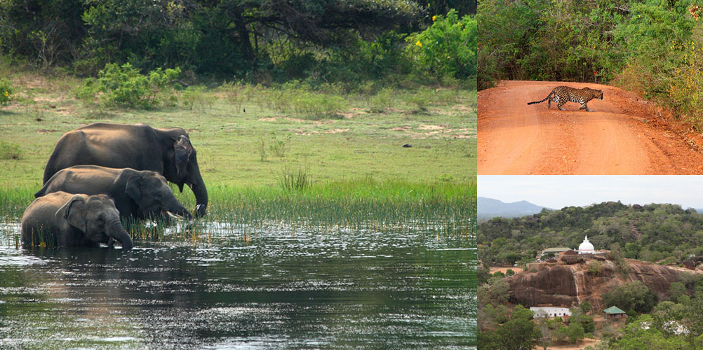 Two weeks tour in Sri Lanka - itinerary | Rock Lanka Tours